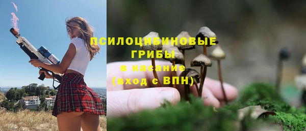 дурь Михайловка