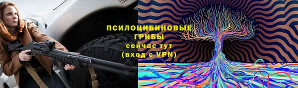 шишки Вязники