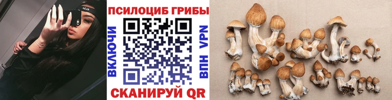 omg онион  закладки  Киржач  Галлюциногенные грибы мицелий 