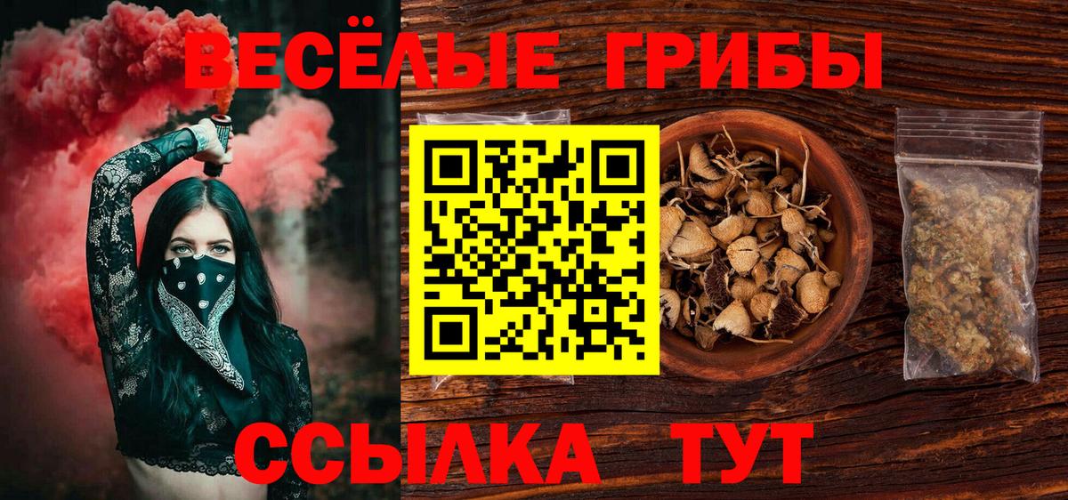 Псилоцибиновые грибы Psilocybine cubensis  Вход с VPN  наркотики  Киржач  Псилоцибиновые грибы Psilocybe 