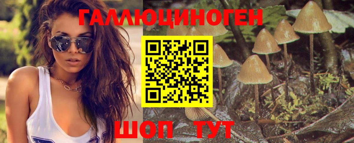 НБОМе  Гашиш  Меф МЯУ МЯУ   МЕФ   Киржач  ГАШ  Бошки Шишки  КОКАИН 