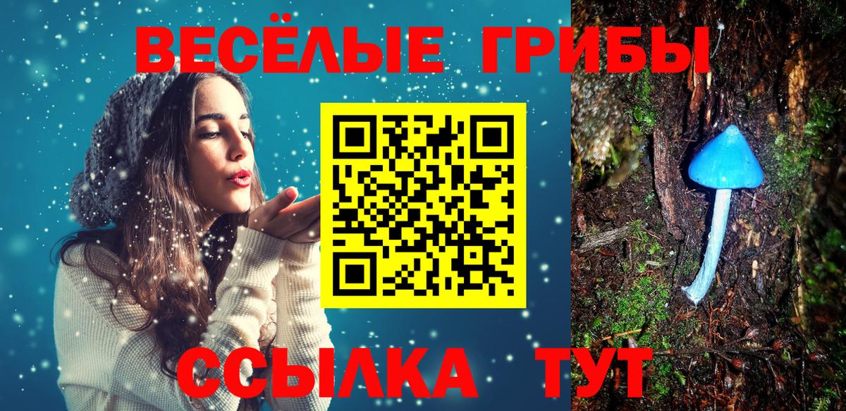 Галлюциногенные грибы прущие грибы Киржач